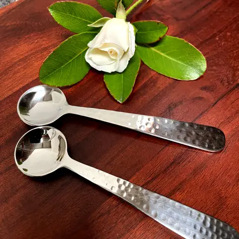 Valencia Condiment Spoon (4pc)