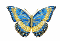 BUTTERFLY BLUE WEIGHT