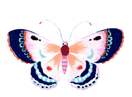 BUTTERFLY WEIGHT