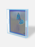 SQUARE TRAY FROZEN GRACE
