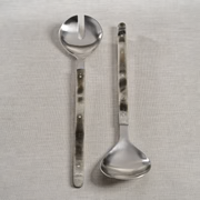 Server Set Tortoise Handles
