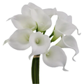 REAL TOUCH 18 INCH CALLE LILLIES