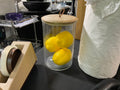 Small mango and Wood jar