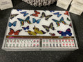 Mah Jong Set