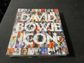 David Bowie Icon