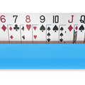 spinner tray canasta