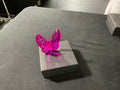 Crystal Butterfly Fuschia