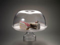 Acrylic Cakestand with Dome